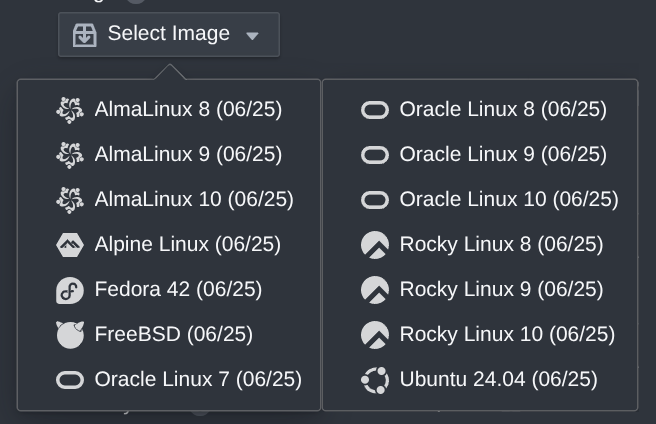 Instance Images